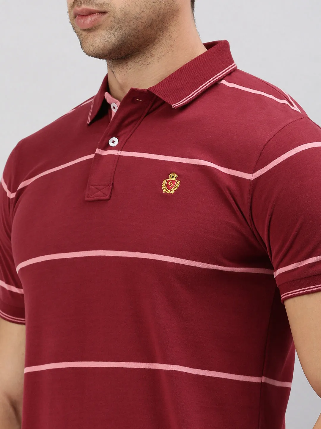 Classic Polo Men's Half Sleeve Maroon Polo Neck Slim Fit Striped T-Shirt | CPEG - 336 A SF P